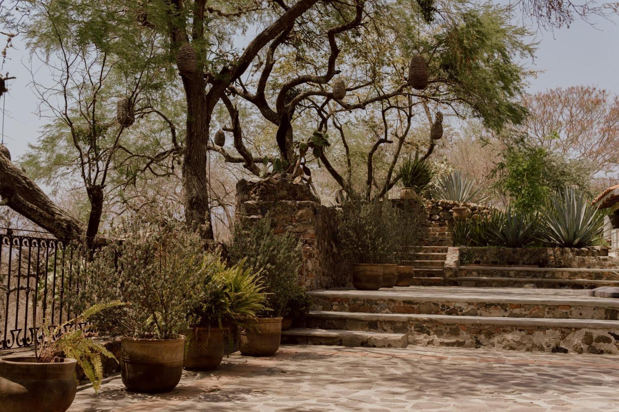 Hacienda San Nicolas De Las Fuentes Teuchitlán Buitenkant foto