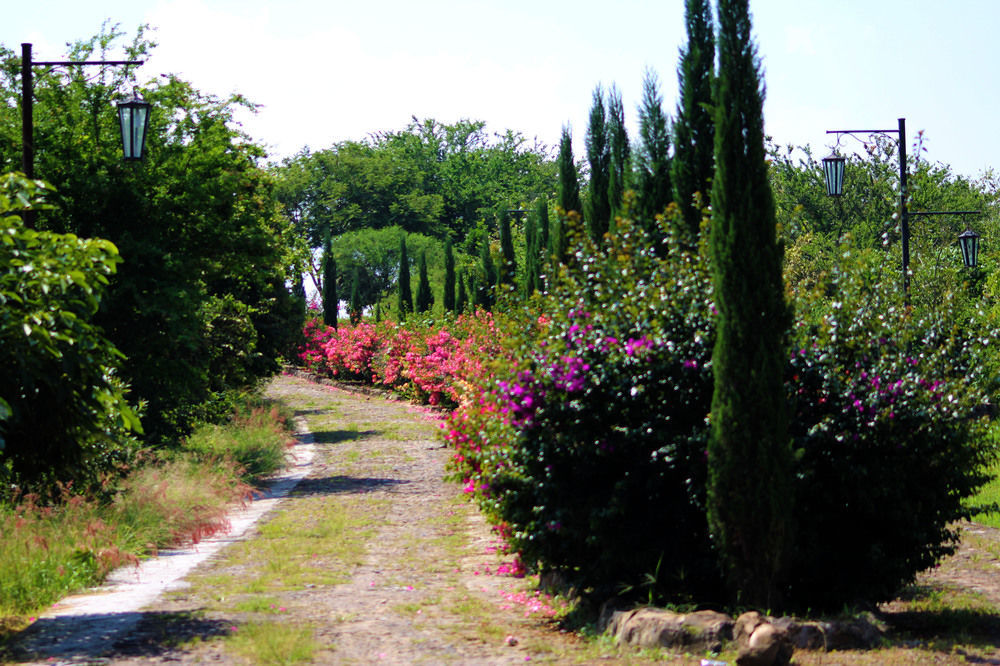 Hacienda San Nicolas De Las Fuentes Teuchitlán Buitenkant foto