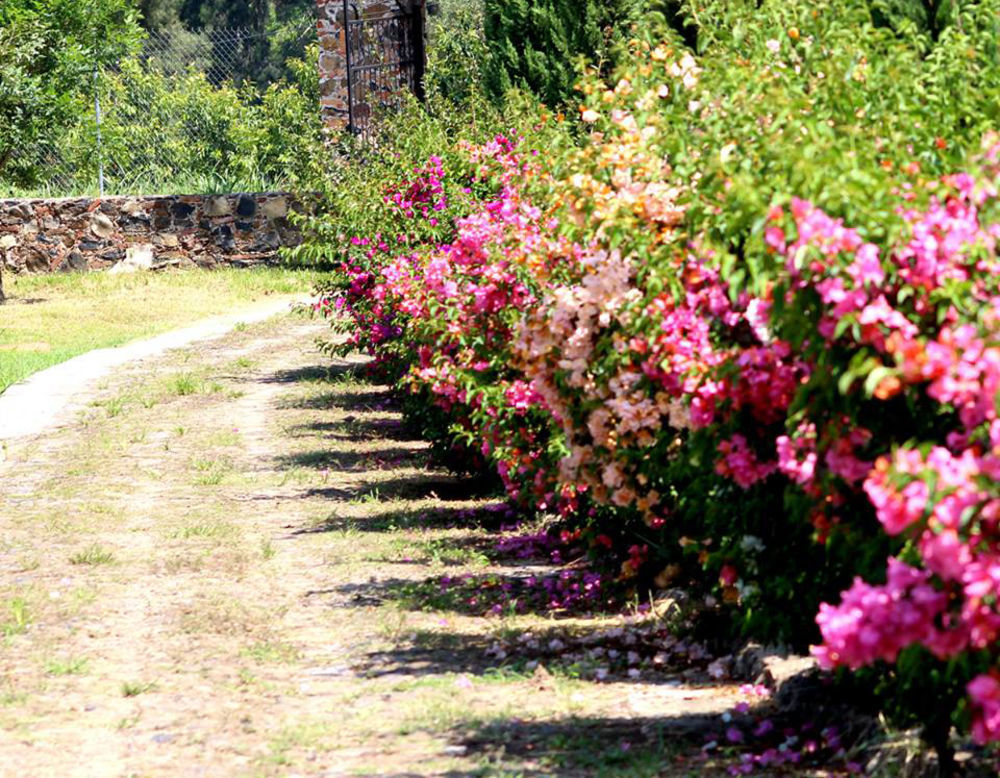 Hacienda San Nicolas De Las Fuentes Teuchitlán Buitenkant foto